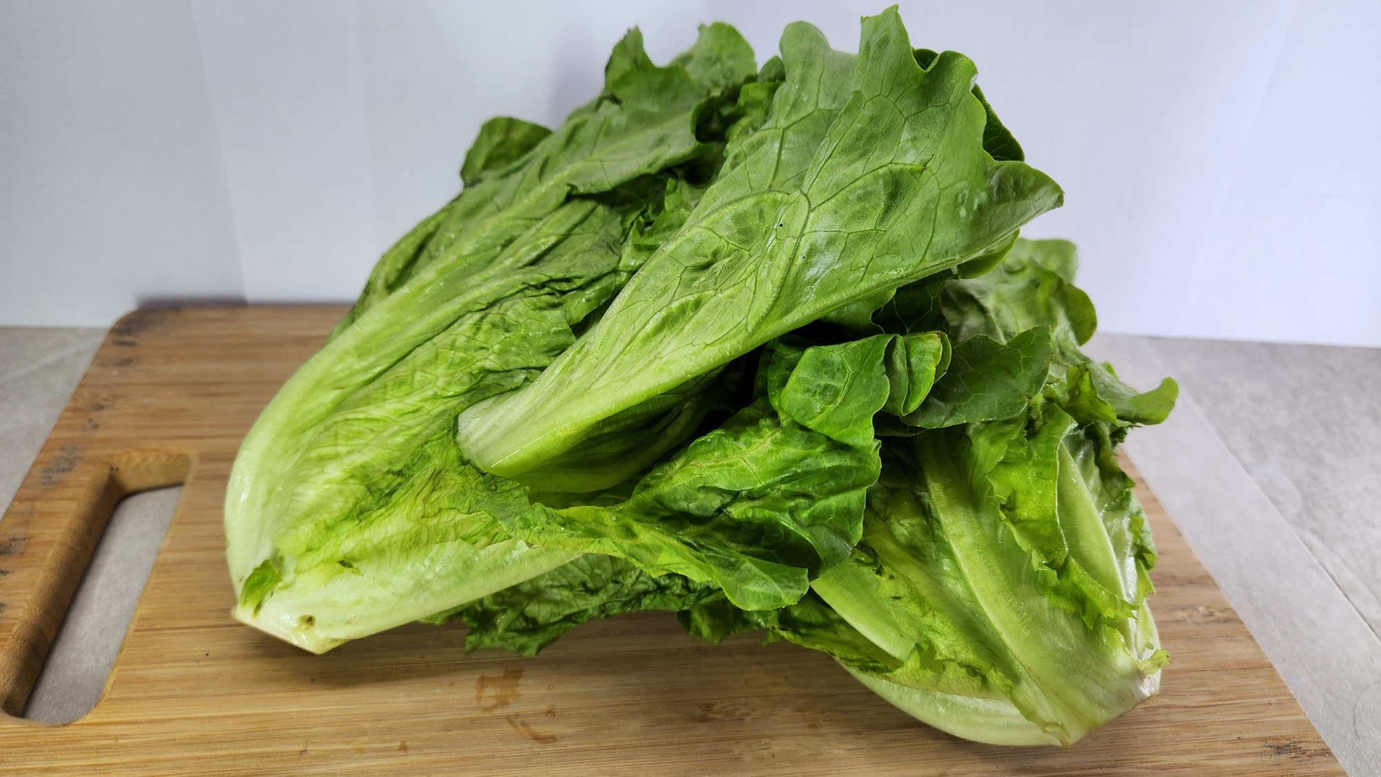 生菜-商品示範圖3